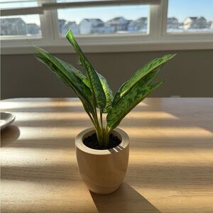 Threshold Faux Plant with Green Leaves in Tan Pot